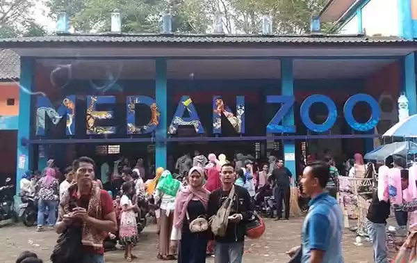 Seekor Gajah di Medan Zoo Mati