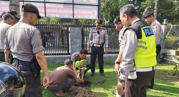 Polsek Medan Helvetia Tanam Mangga Harum Manis, Ini Tujuannya 