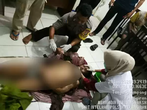 Warga Indragiri Hilir Tewas Diterkam Harimau Sumatera