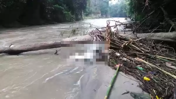 Sungai Bahboluk Tercemar Bangkai Babi, Warga Mengaku Resah