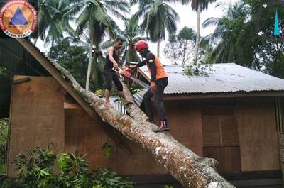 Pohon Tumbang Menimpa Rumah Milik Warga