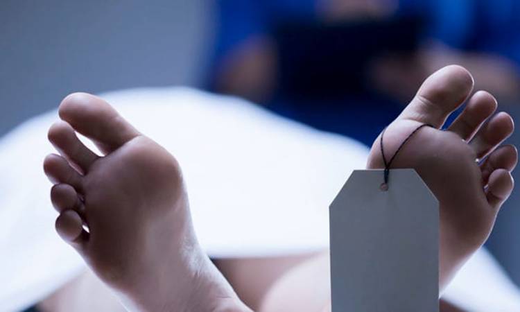 Gara Gara di Tegur Ayahnya Gadaikan Handpone Cucu,  Anak Tikam dengan Pisau