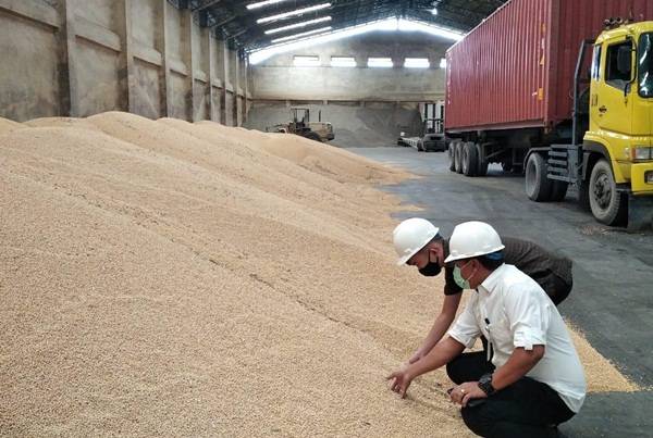 Harga Kedelai Tinggi, KPPU Sidak Gudang Kedelai di Mabar