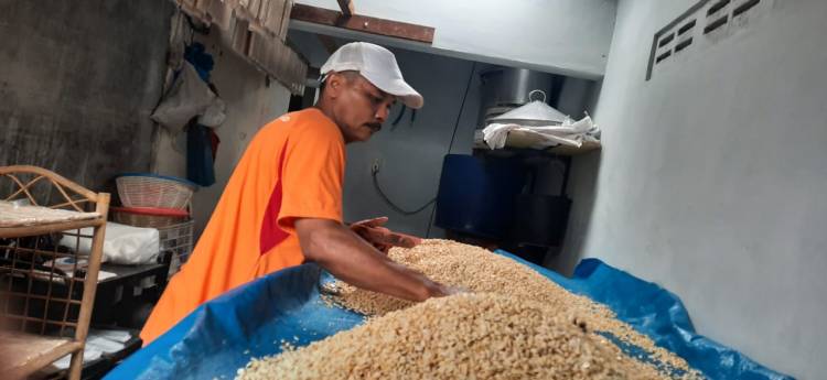 Harga Kedelai Naik, Produsen Tempe Di Medan Terancam Bangkrut