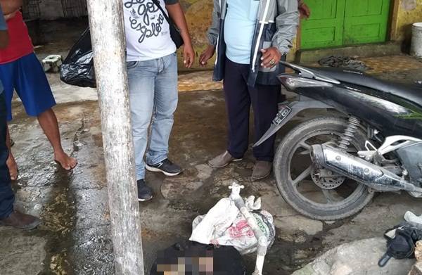 Heboh di Medos, Kasus Mutilasi Kucing di Medan