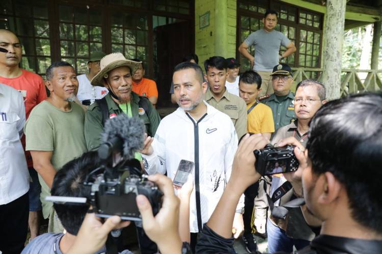 Musa Rajekshah Tinjau Lokasi Rehabilitasi dan Feeding Orang Utan di Bukit Lawang, ini Kata Wagubsu