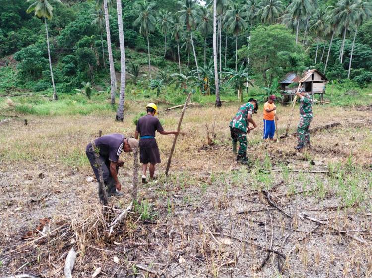Satgas Kodim Maluku Yonarhanud 11/WBY, Dengan Menanam Tanaman Palawija Di Desa Biloro