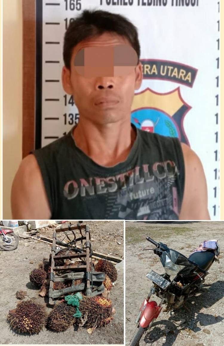 Keluar Masuk Penjara Gegara Curi Sawit, Karpok Kembali Diamankan