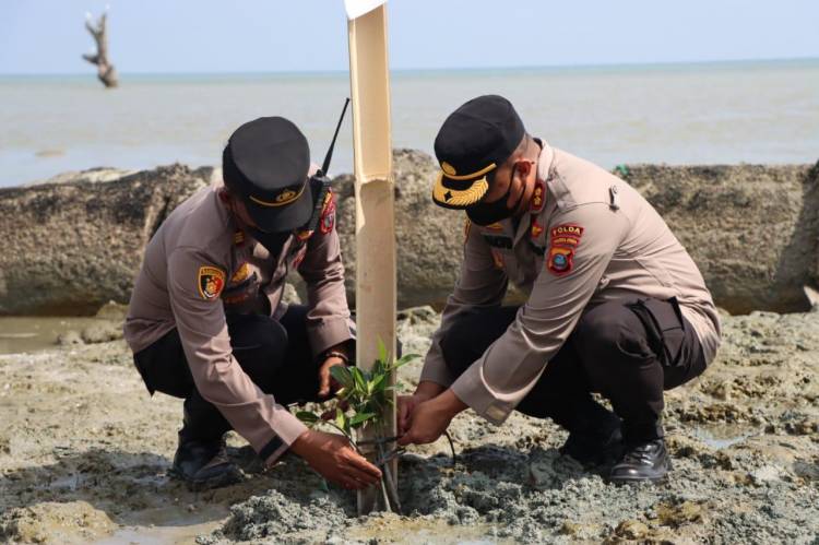Kapolres Serdang Bedagai Tanam Pohon Mangrove di Pantai Merdeka