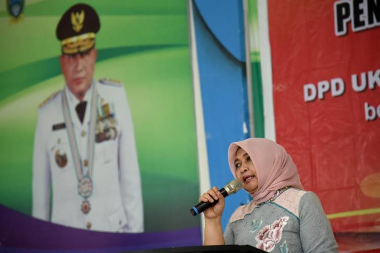 Nawal Lubis Kenalkan Marketplace Guna Pasarkan UKM Secara Online