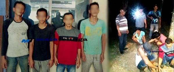Sindikat Pencuri Sawit di Asahan Diringkus, Satu Pelaku Masih di Bawah Umur