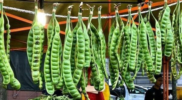 Banyak yang Tak Tau, ini Sederat Manfaat Mengkonsumsi Petai