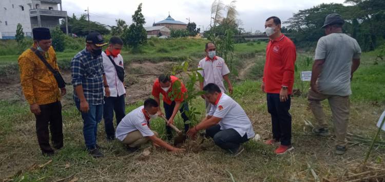 Gerakan Merawat Ibu Pertiwi, PDIP Menanam Pohon