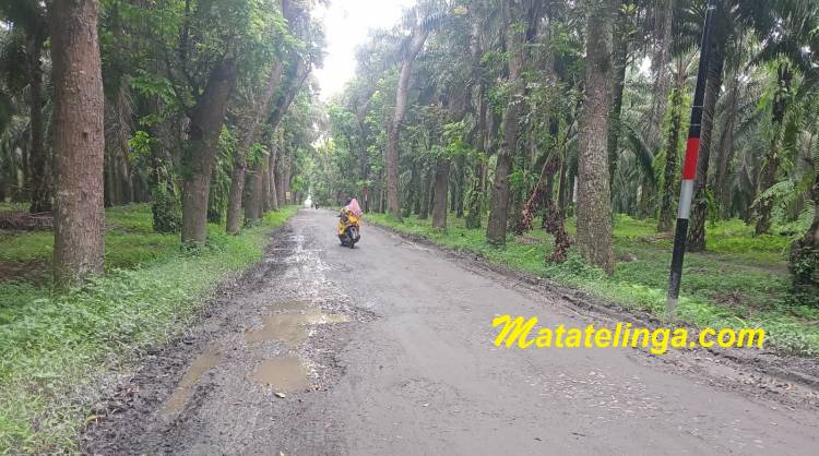 Badan Jalan Kec.Secanggang tepatnya di Desa Cinta Raja, Kondisinya Semakin  Parah