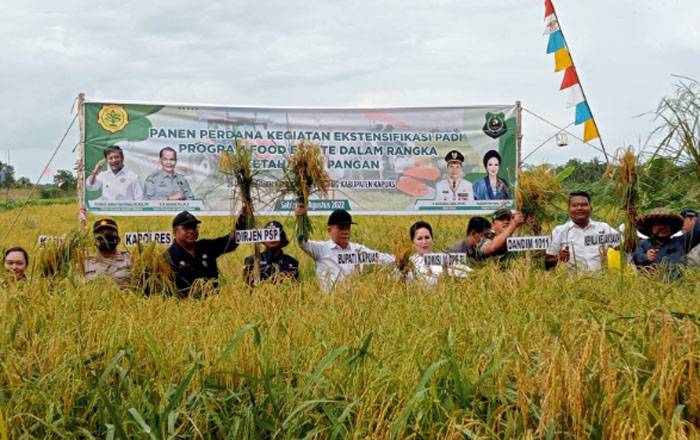 Ekstensifikasi Lahan Food Estate : Membangun dan Mengembangkan Lahan Pertanian Produktif Baru untuk Petani