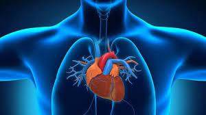 Pengobatan Jantung Dengan Teori Myocarddial Perfusion