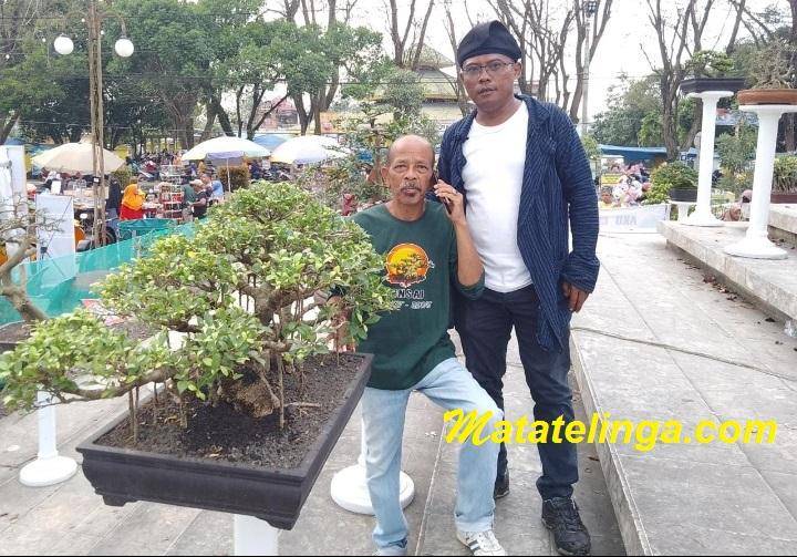 PPBI Langkat-Binjai Turut Mewarnai HUT Langkat ke 273
