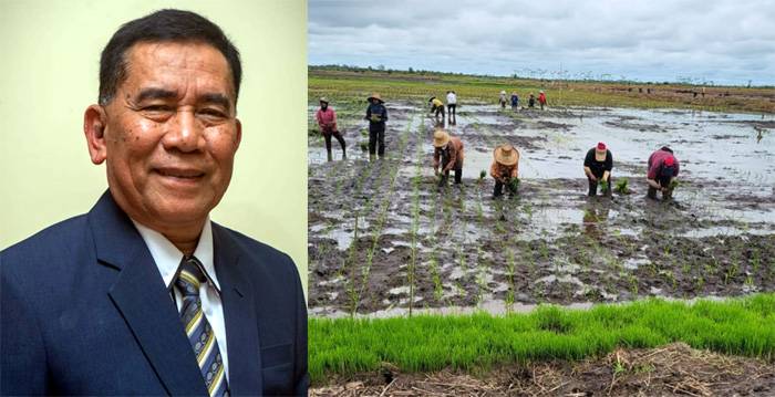 KTNA Sodorkan Data Riil Food Estate Padi Kalteng
