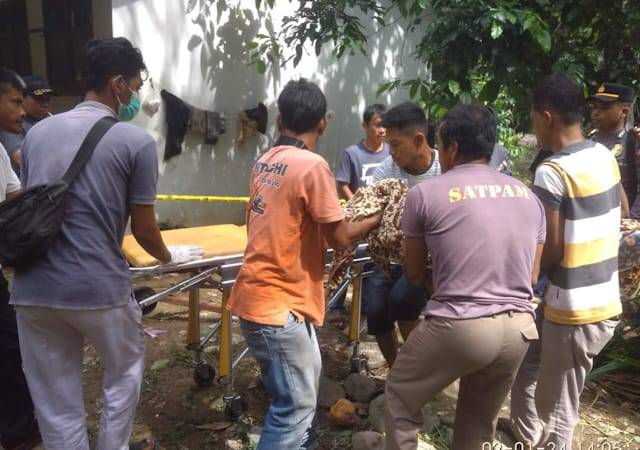 Janda Tewas Dibantai di Kampung Sawah Madina