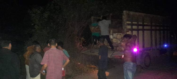 Hutan Lindung "Dipanen" Tengah Malam di Madina