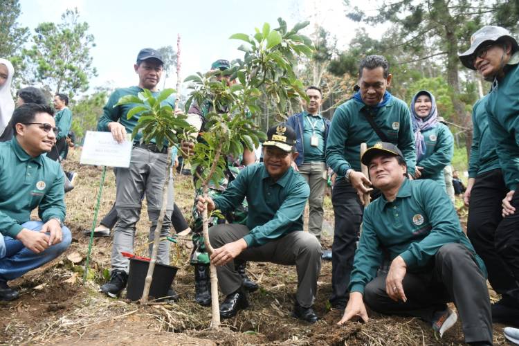 Rehabilitasi Lahan Kritis, Pj Gubernur Terus Dorong Gerakan Penanaman Pohon Berkesinambungan di Sumut