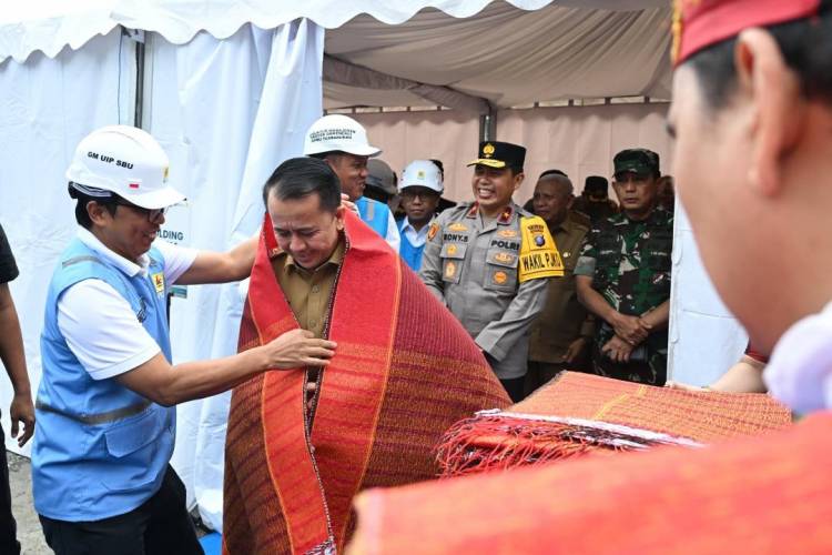 Menuju Swasembada Energi, Presiden Resmikan 26 Pembangkit Serentak, Termasuk PLTA Asahan 3 di Sumut