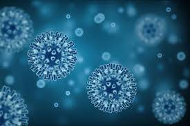 Mengapa norovirus sangat sulit dibunuh.....?