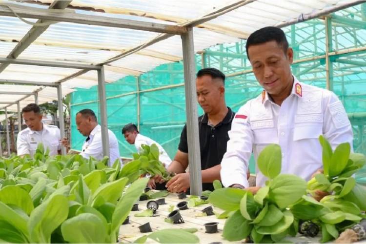 Kemenkumham Sumut Wujudkan  Ketahanan Pangan, Libatkan WBP Beternak dan Bercocok Tanam