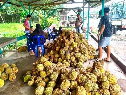 Pedagang Durian Dulang Rezeki