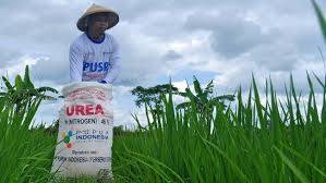 Nilai Impor Pupuk Sumut Turun 52,78 Persen