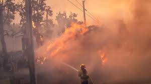 Kebakaran hutan Los Angeles, Lima orang dikabarkan tewas