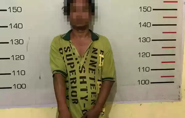 Diduga Sering Mengedarkan Narkoba, Warga Pamatang Simalungun Diciduk Polisi