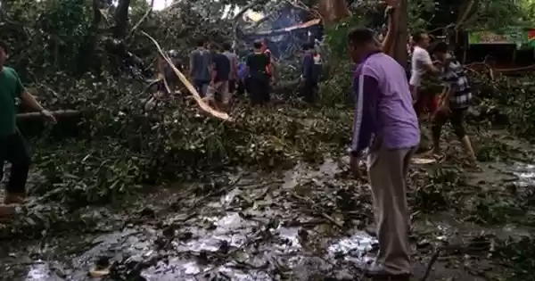 Tiang Tower Telekomunikasi Tumbang, Tiga Pekerja di Langkat Tewas 