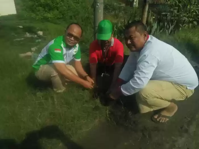 Penanaman Pohon di Belawan dengan Ribuan Batang