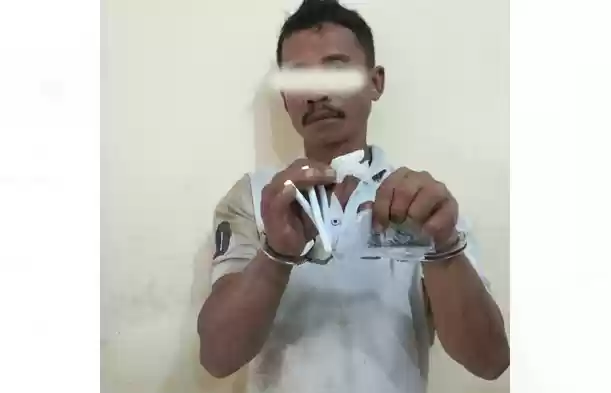 Digrebek Polisi, Pengedar Ganja Dolok Sagala Masuk Bui