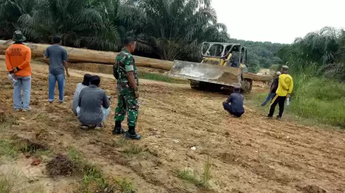 Kayu Untuk Kebutuhan Jalur Kian Langka di Kuansing