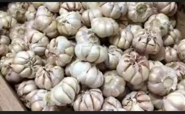 Dampak Corona : Impor dari China Disetop, Harga Bawang Putih Naik
