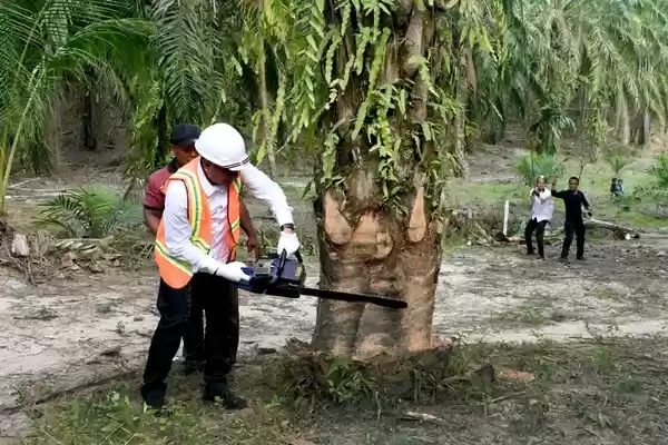 Pencanangan Pembangunan Sekolah di Langkat, Sultan Langkat Apresiasi Gubernur Edy 