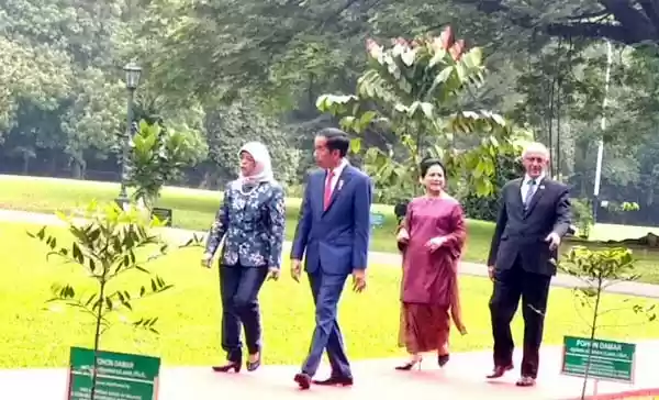 Jokowi Bahas Kerja Sama Investasi dan Pengembangan SDM dengan Singapura