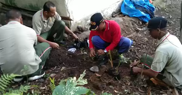 Dandim 0305/Pasaman Perintahkan Jajaran Koramil Pembibitan Vetiver