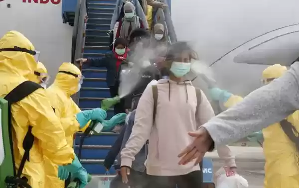 Manusia Kerap Mendapat Penyakit Dari Hewan 