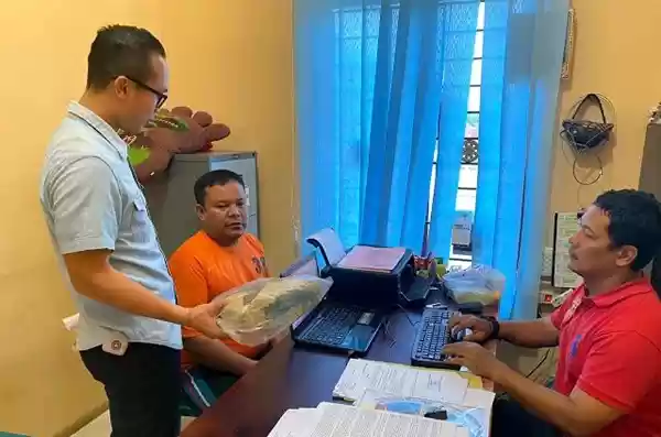 Nyamar, Polisi Labuhanbatu Ciduk Pemuda Jual 1 Kg Ganja