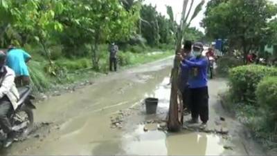 Jalan Rusak, Masyarakat  Menanam Pohon Pisang