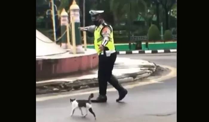 Viral! Mantan Menteri Jokowi Apresiasi Polisi yang Bantu Kucing Nyeberang
