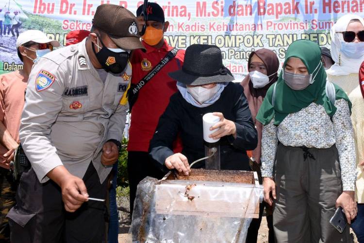 Kembalikan Fungsi Hutan dan  Kembangkan Perekonomian Masyarakat
