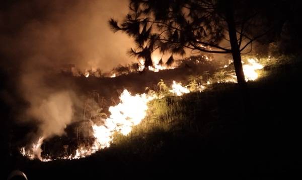 Hutan Gambut di Lereng Pusuk Buhit Terbakar