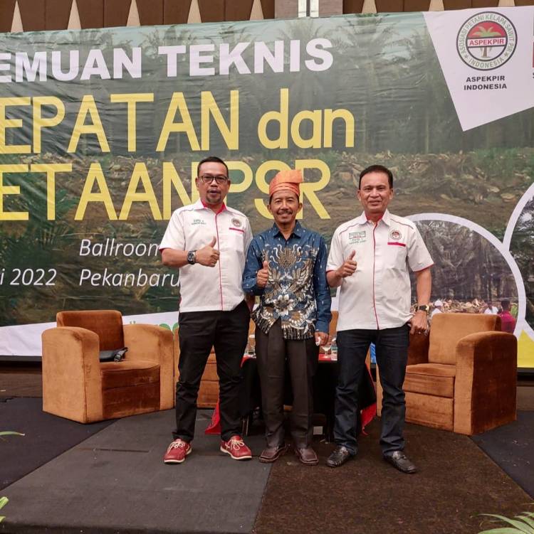 Kabar Baik Buat Petani Kelapa Sawit, Gubsu Terbitkan SK Percepatan PSR, Aspekpir Sumut Wakili Asosiasi