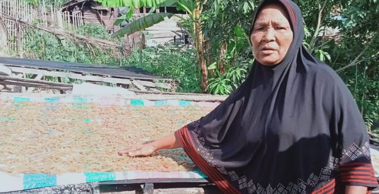 Minyak Goreng Langka, UKM Kerupuk Terancam Bangkrut