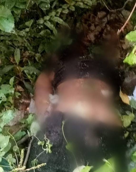 Kabarnya Pembunuh dan Pencabul Bocah di Batangkuis  Tak Jauh dari Tempat Tinggalnya