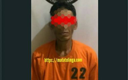 Edarkan Narkoba Di Pondok Ema Aekkorsik, CA Diciduk Polisi